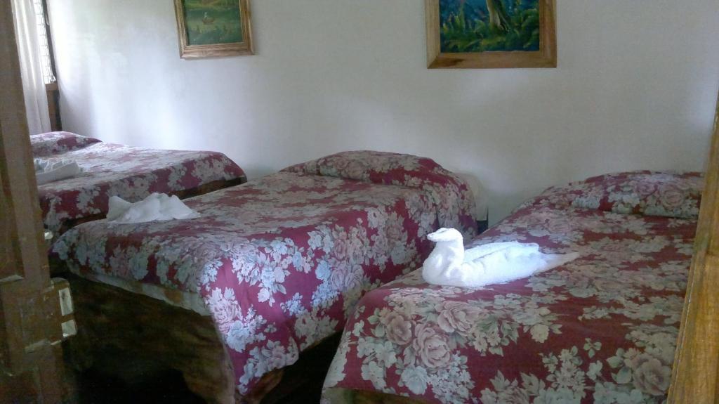Hostel Villa Verde Monteverde Kültér fotó