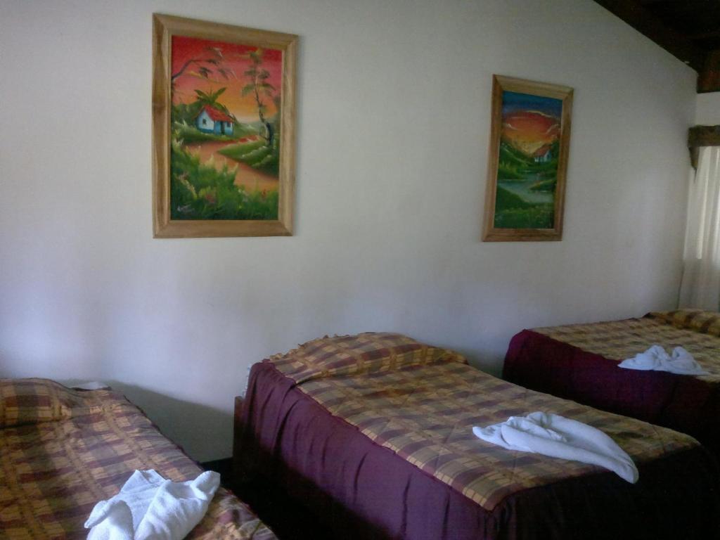 Hostel Villa Verde Monteverde Kültér fotó