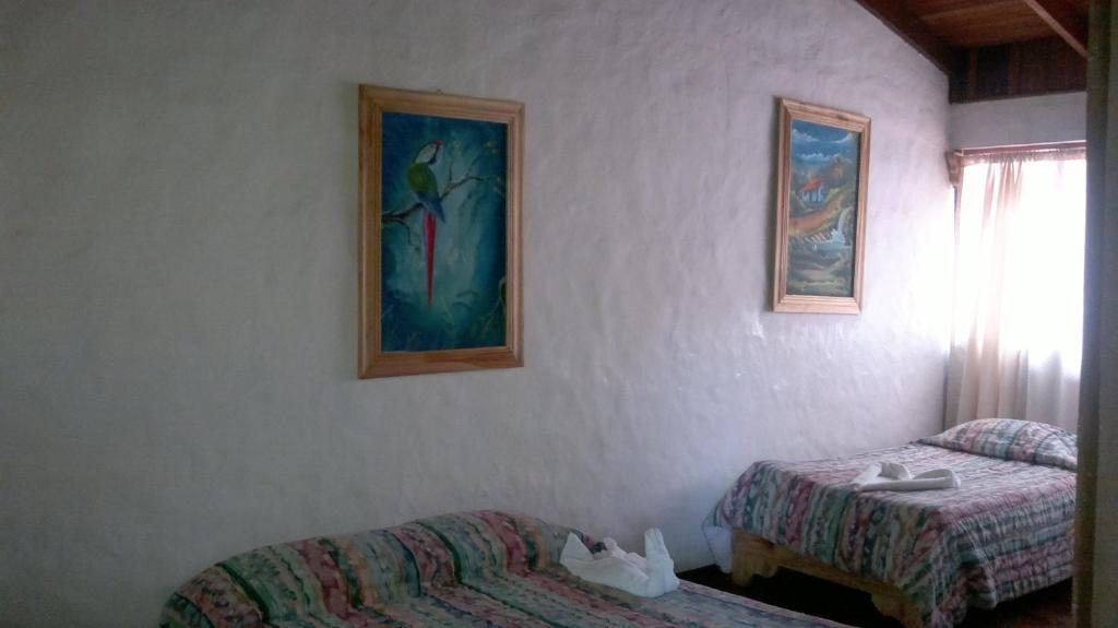 Hostel Villa Verde Monteverde Kültér fotó