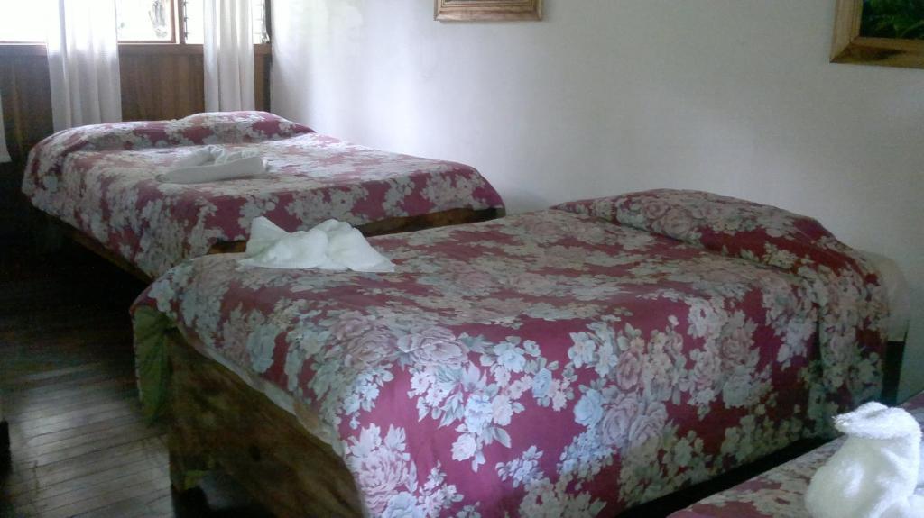 Hostel Villa Verde Monteverde Kültér fotó