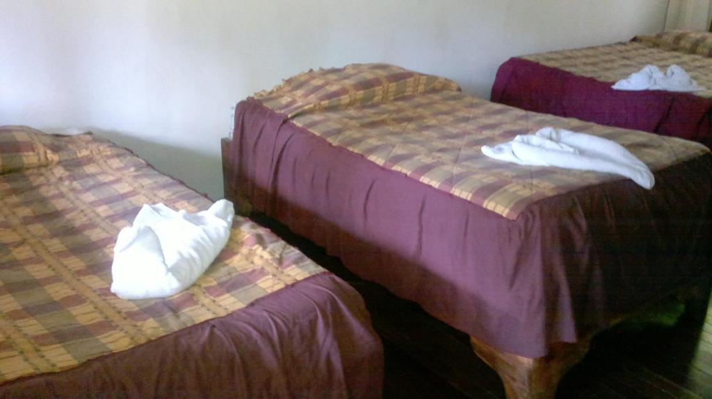 Hostel Villa Verde Monteverde Kültér fotó