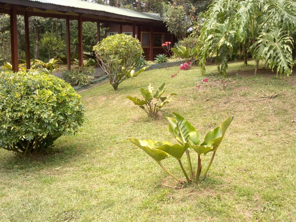 Hostel Villa Verde Monteverde Kültér fotó